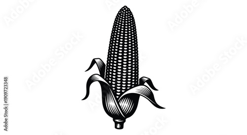 Black and white illustration of an ear of corn with leaves