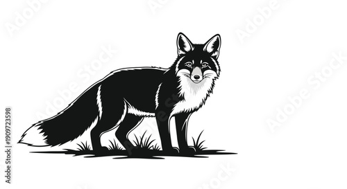 Black fox standing in grassy field flat illustration