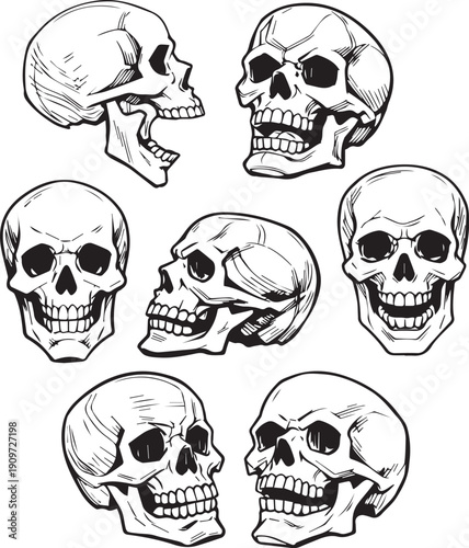 Set hand-drawn human skull from different angles line art illustration Black and white contour silhouettes comic minimal linear graphic style clipart Halloween anatomy tattoo poster design outline ink