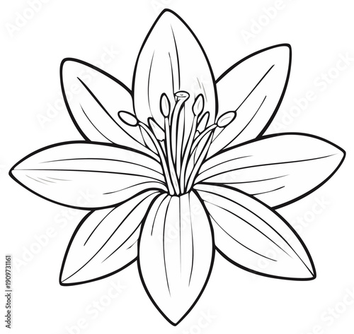 Flower blossom illustration, outline graphic design, floral vector art.