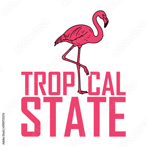 Flamingo Tropical State