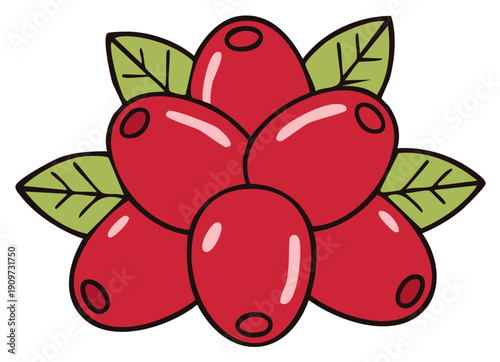 Stylized Red Berries and Green Leaves Botanical Illustration