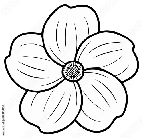 Stylized five petal flower outline black and white line art drawing for coloring or design element