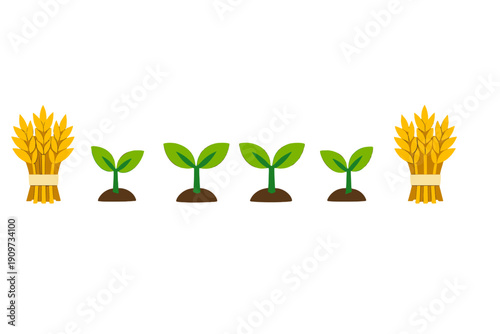 Growing plants and harvested wheat represented in a simple graphic showing stages of plant development in a field scene