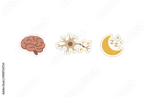 Brain, neuron, and moon symbols represent thinking, communication, and sleep in a graphic design for educational purposes