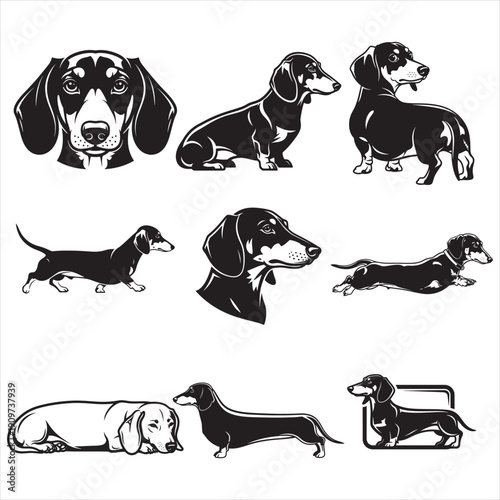 Dachshund Dog Breed Vector Set Black and White Line Art Illustration