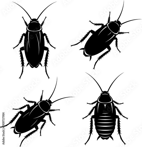 A detailed illustration of four different types of cockroaches in black and white Vector