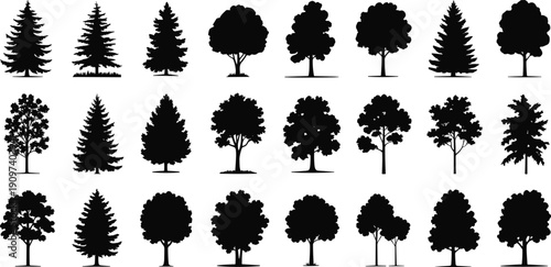 Tree silhouettes illustration with deciduous and coniferous forms, rounded canopies, pointed evergreens, botanical diversity, black and white artwork concept