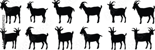 Goat silhouettes illustration with horn variations, standing and walking poses, side profiles, black and white artwork, farm animal, livestock design concept