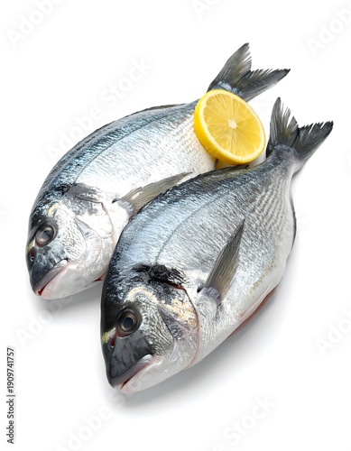 Two fresh dorade fish, silvery skin, one with lemon slice, on white