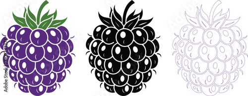 Blackberry Detailed Vector Fruit Icon