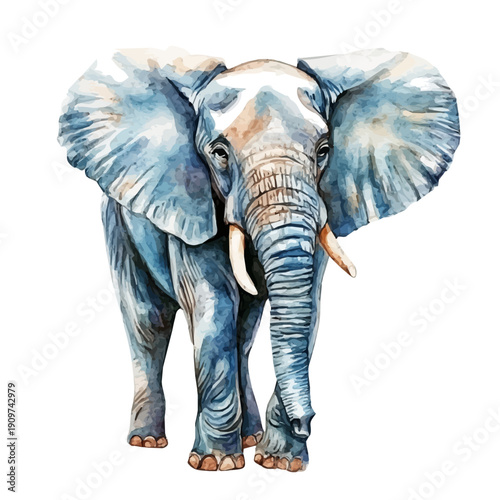 watercolor of Elephant vector, isolated on a white background.
