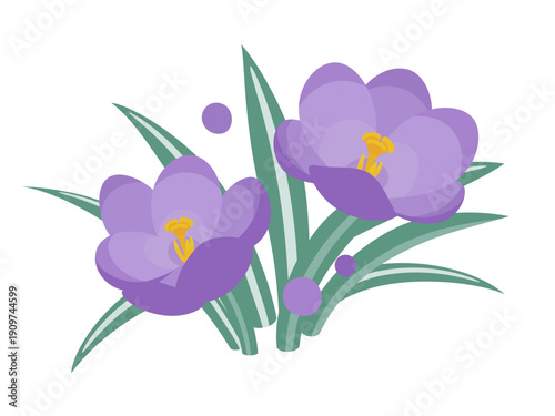 かわいいクロッカスのイラスト素材