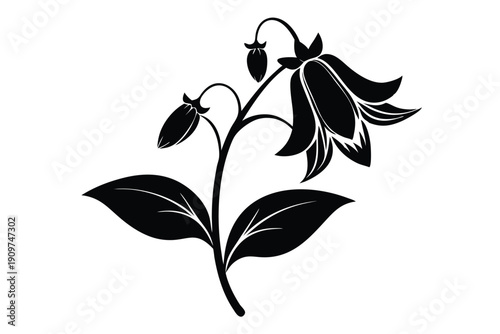 bellflower silhouette line art vector illustration