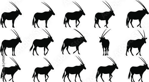 Oryx antelope silhouettes collection, African wildlife vector set, horned desert animal poses isolated, safari mammal illustration bundle pack
