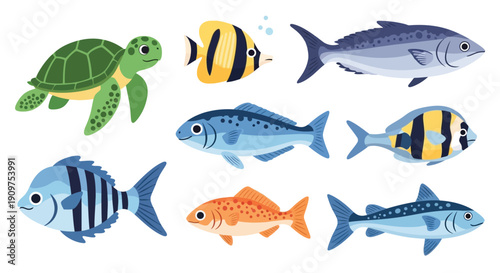 Colorful cartoon illustration of a sea turtle and various fish species
