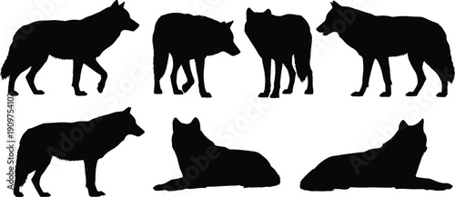 Black silhouettes of wolves in various poses wolf white background animal