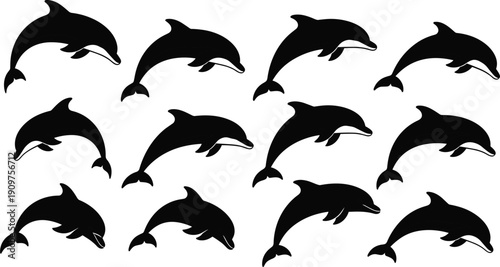 Black silhouettes of dolphins jumping swimming white background