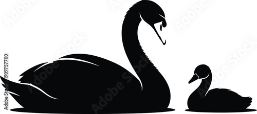 Black silhouette of swan and cygnet white background