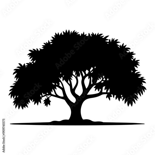 Silhouette of a large leafy tree with a single fruit
