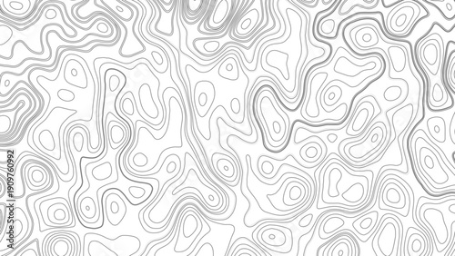 Abstract Topographic Map Lines. Monochrome Terrain Lines Art. Wavy Geographical Contour Lines