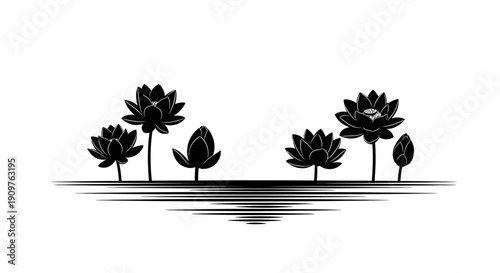 Black and white silhouette of lotus flowers and buds with reflections on water, minimalist design.