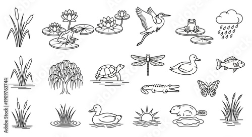Collection of hand-drawn illustrations featuring various pond and wetland animals and plants, including frogs, ducks, turtles, and water lilies.