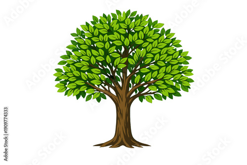 A stylized illustration of a lush green tree with a thick brown trunk and visible roots, set against a solid black background. The canopy is filled with many small green leaves.