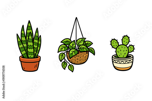 Three stylized potted house plants including a snake plant, a trailing vine in a woven basket, and a prickly pear cactus are illustrated against a solid black background.