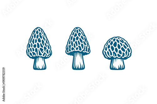 A set of three morel mushroom graphics with a blue and white woodcut texture on a black background. Each mushroom displays a unique honeycomb cap pattern and a sturdy white stem.