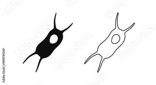 Two amoeba illustrations one filled and one outlined displayed side by side