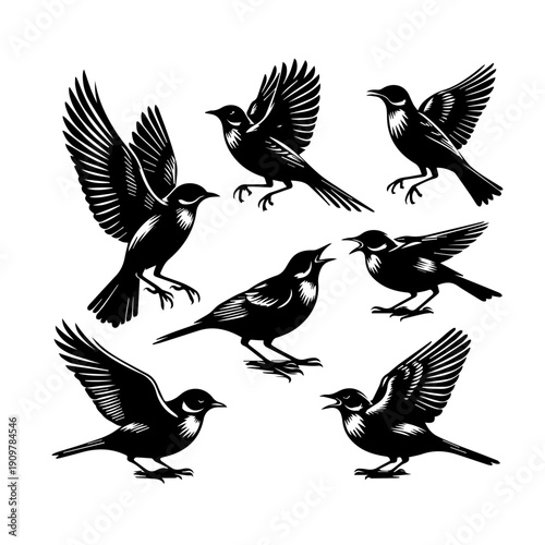 vector illustration of a Skylark bird