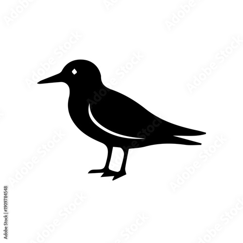 vector illustration of a Skylark bird