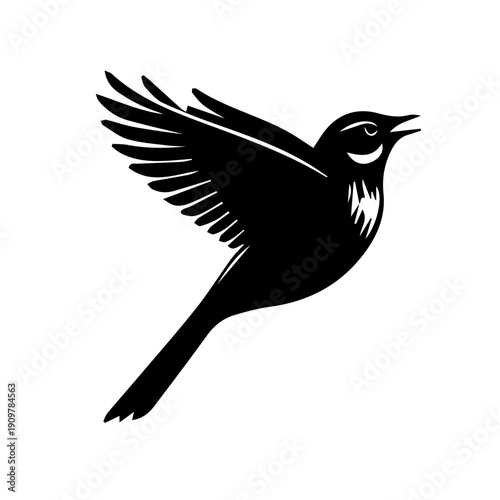 vector illustration of a Skylark bird