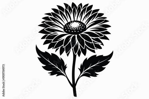 gaillardia silhouette line art vector illustration