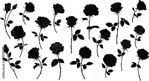 Black Rose Silhouette Mega Bundle Flower Heads and Buds Vector Set