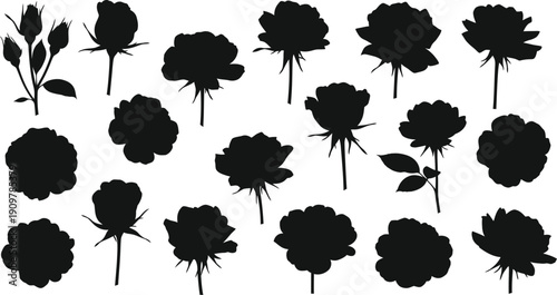 Black Rose Silhouette Bundle with Flower Heads and Buds Vector Elements