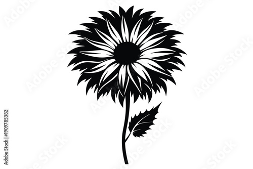 gaillardia silhouette line art vector illustration