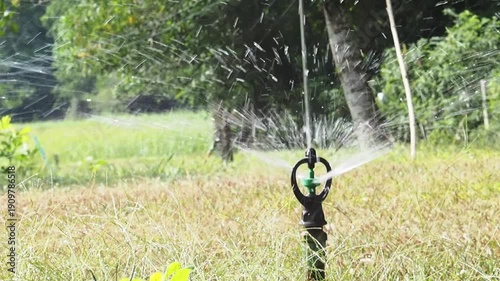 Summer Outdoor Sprinkler Water Irrigation for Grass Garden and Agriculture Field with Fresh Green Rural Landscape Spray