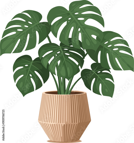Monstera deliciosa houseplant in modern ceramic pot vector illustration with green tropical Swiss cheese plant leaves for interior design home decor and botanical decoration.
