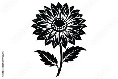 gaillardia silhouette line art vector illustration