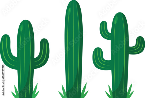 Green Cactus and Succulent Plants Set in Flat Vector Style