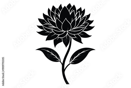 everlasting flower silhouette line art vector illustration