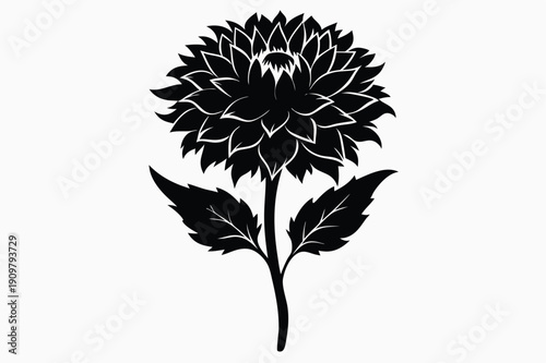 everlasting flower silhouette line art vector illustration