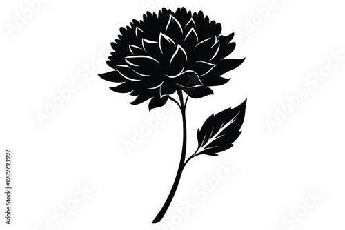 everlasting flower silhouette line art vector illustration
