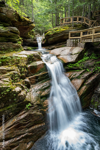 waterfall in the forest