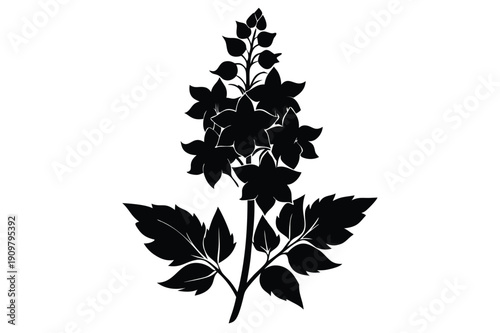 delphinium silhouette line art vector illustration