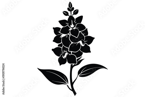 delphinium silhouette line art vector illustration