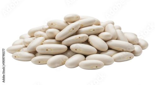 Tableau sur toile Pile of cannellini beans isolated PNG on transparent background, creamy white ki