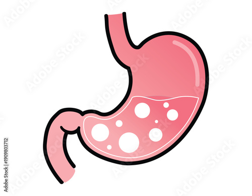 Human stomach illustration with digestive process indicated by bubbles and liquid